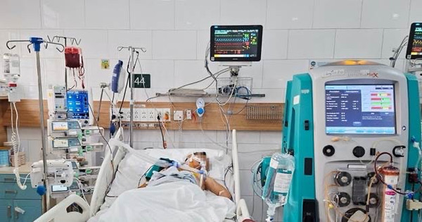 Sập bẫy 'thần y' mạng xã hội: Khi thuốc tự chế 'chữa siêu nhanh' tàn phá cơ thể